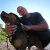 Lukas's profile picture